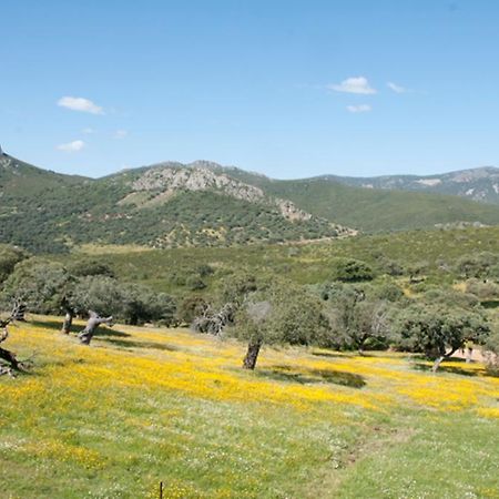 Penzion La Brizna Cañamero Exteriér fotografie