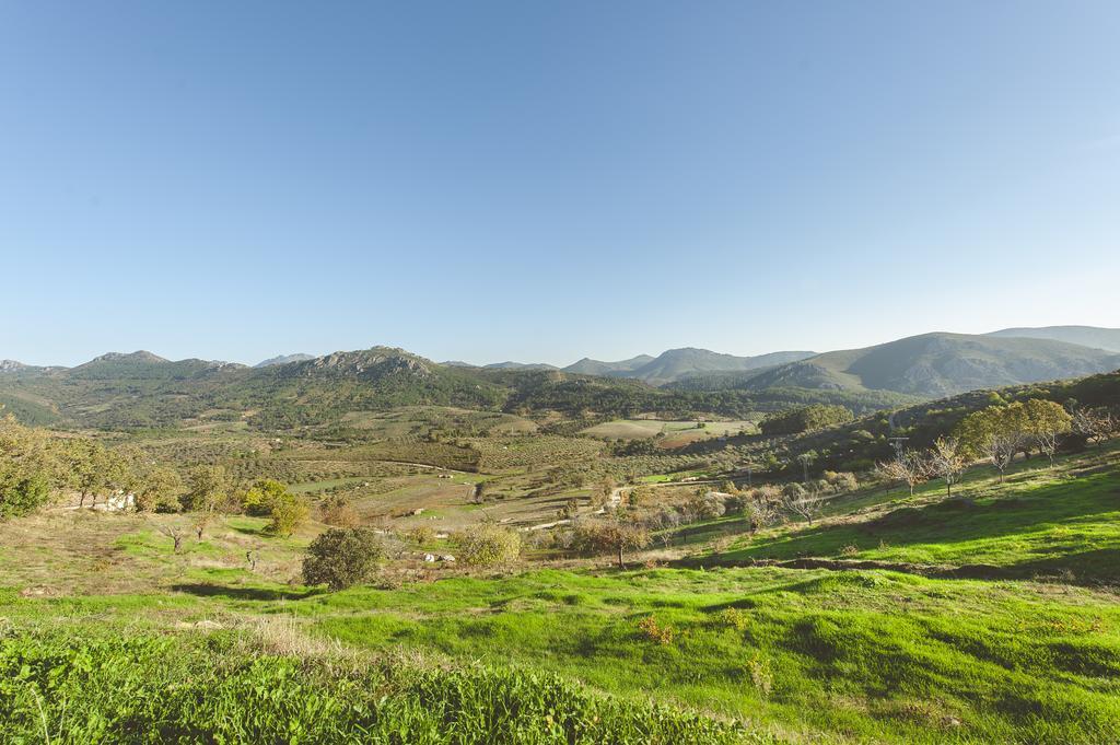 Penzion La Brizna Cañamero Exteriér fotografie