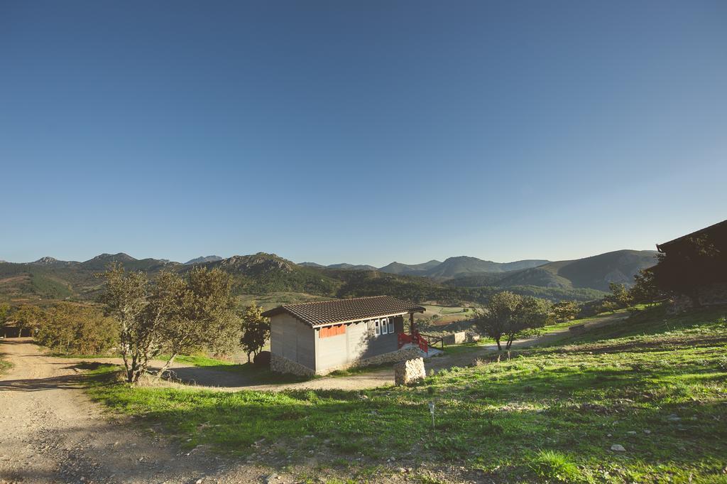 Penzion La Brizna Cañamero Exteriér fotografie