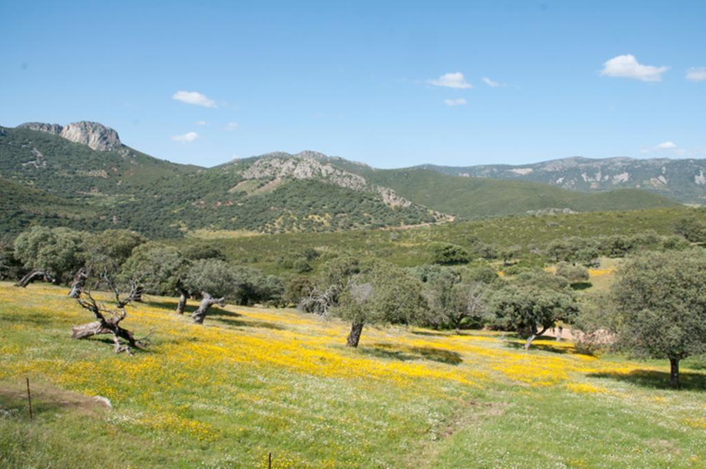 Penzion La Brizna Cañamero Exteriér fotografie